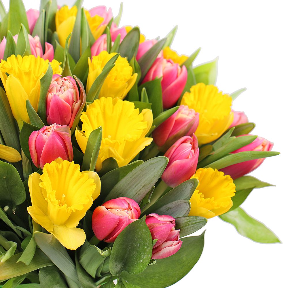Bouquet Tulips and narcissus