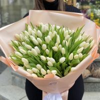 101 white tulips