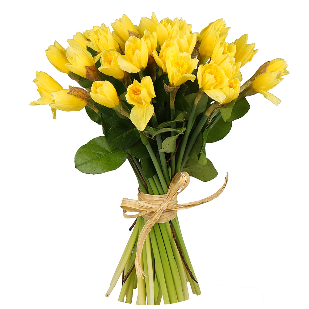 Bouquet Bouquet of daffodils (35 pcs.)