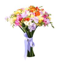 freesia (65 pcs.), packaging, ribbon