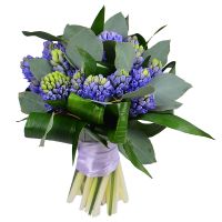 Buy bouquet of hyacinths and green with delivery