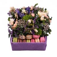 brunia, heleborus, hyacinth mix, rose bush lydia, limonium, white freesia, macaroon cookies (10 pcs.), barbatus, oasis, packaging, ribbon
