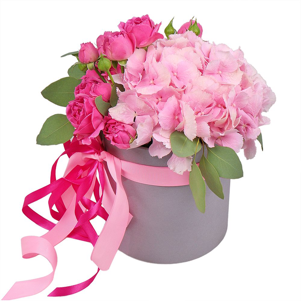 pink hydrangea, rose silva pink bubbles (5 pcs.), oasis, round box, packaging, ribbon