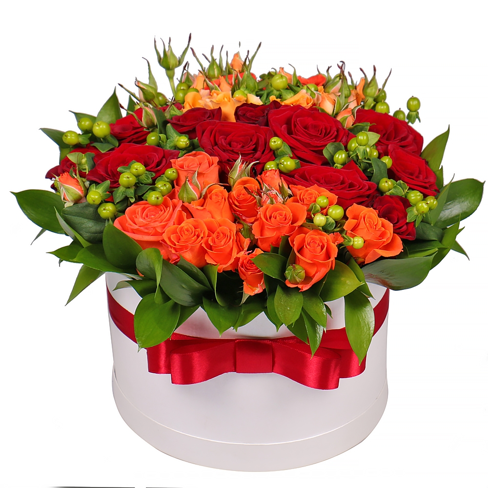 Order the refined composition in our online shop. Delivery!