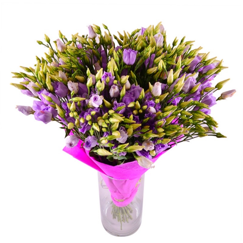 Bouquet Purple
