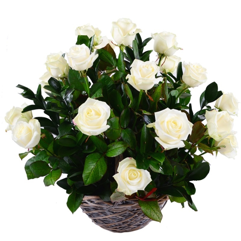 Bouquet Snow