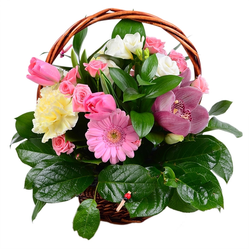 Bouquet Surprise for beloved 