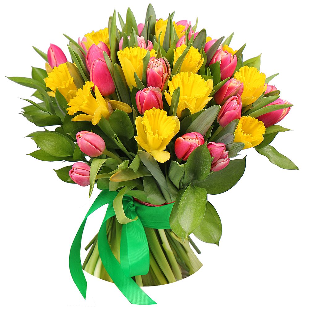 Bouquet Tulips and narcissus